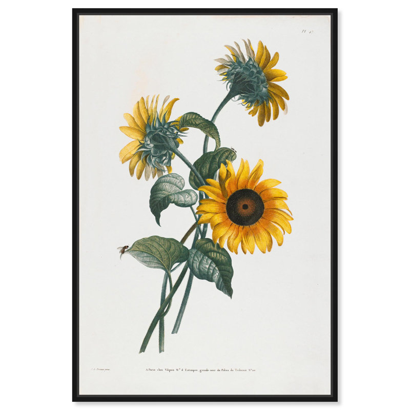 Art Remedy, impressions sur toile, tournesol, Cadre flottant noir, H 16 po x l 11 po