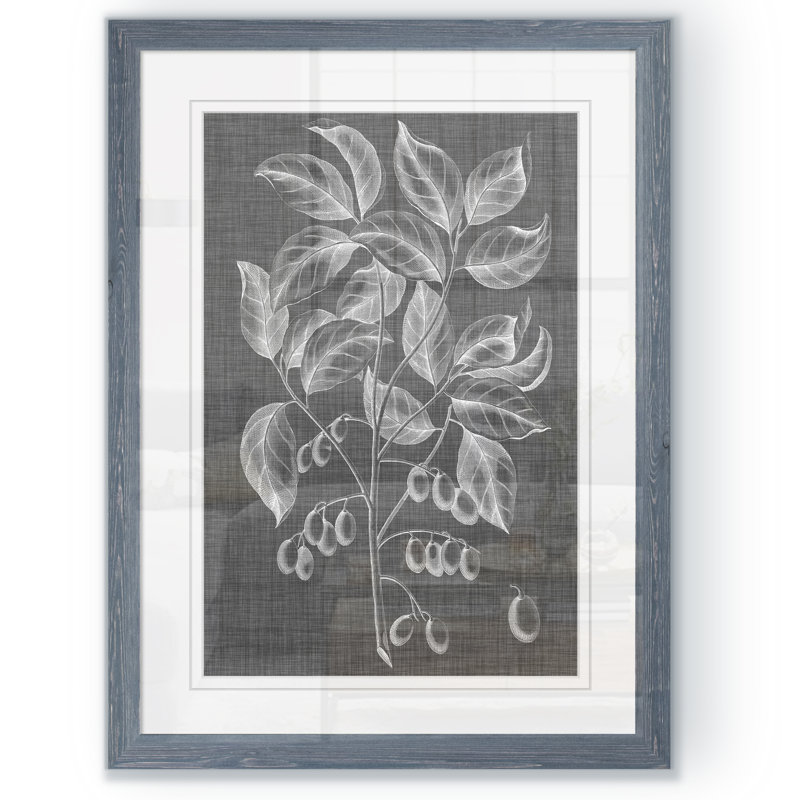 "feuillage graphique v" par paul cezanne-cadre photo, reproduction d’art, H 24 po x l 18 po x P 1,25 po, Papier encadré gris