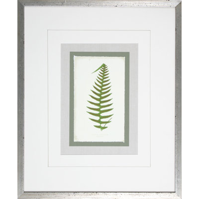 Fern7 - Cadre photo, impression sur papier