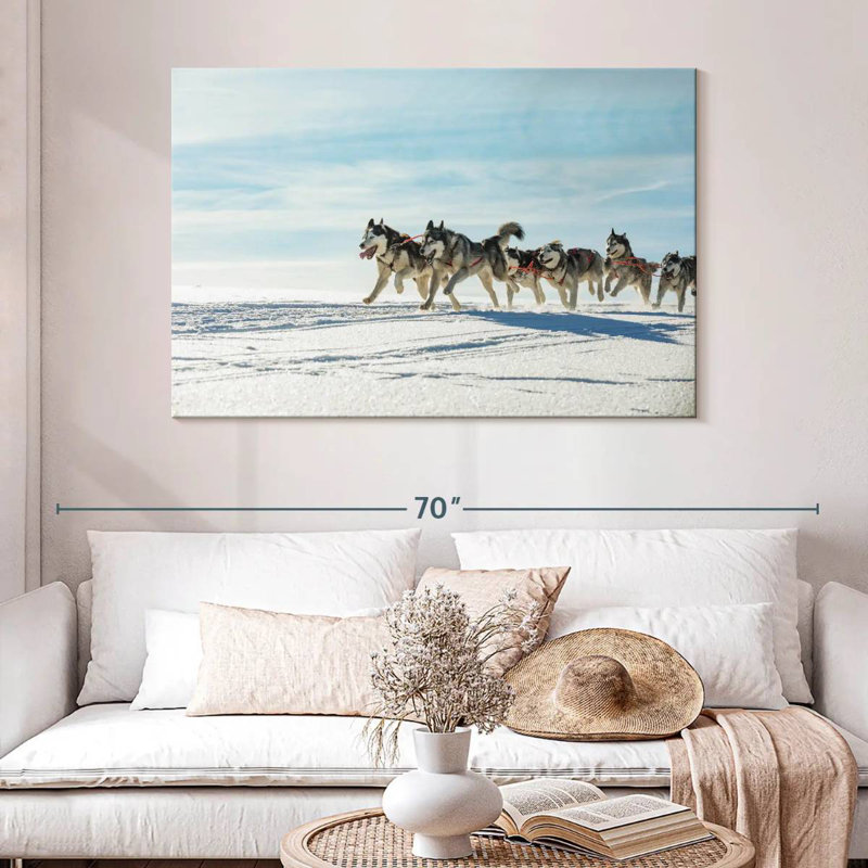 Winter Husky Sled Dogs, H 32 po x l 48 po
