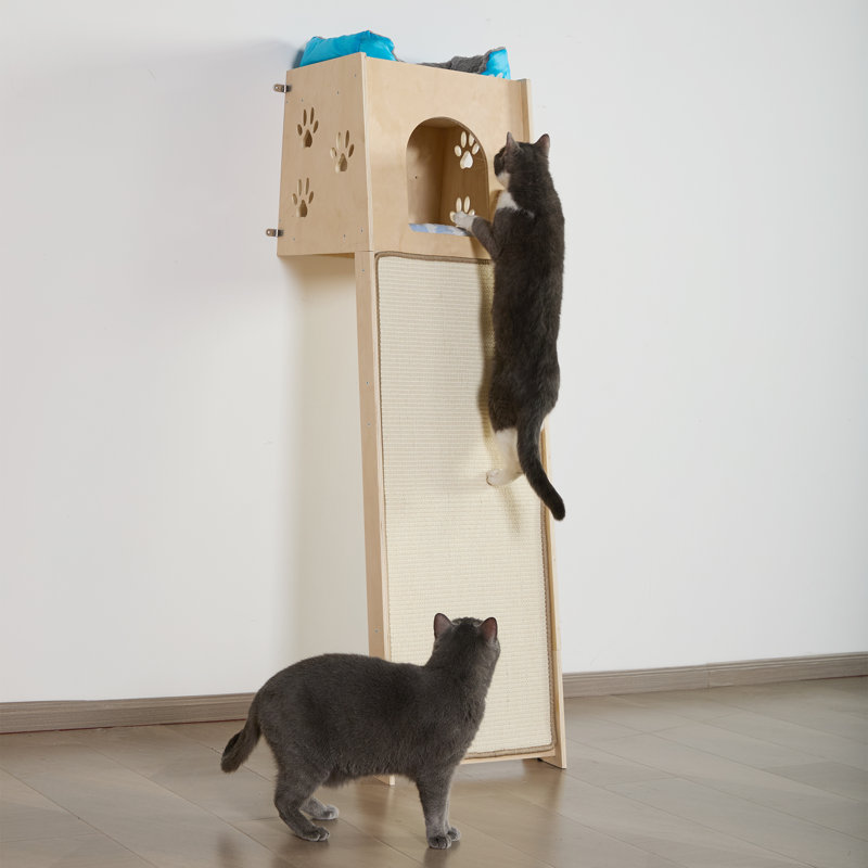 Wall-mounted Cat Tree Climbing With Condo