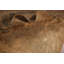 Tapis oriental abstrait 7 x 10