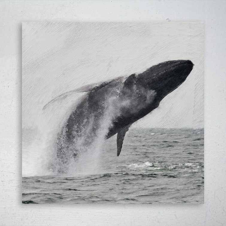 Whale Tale - 8x8 Framed