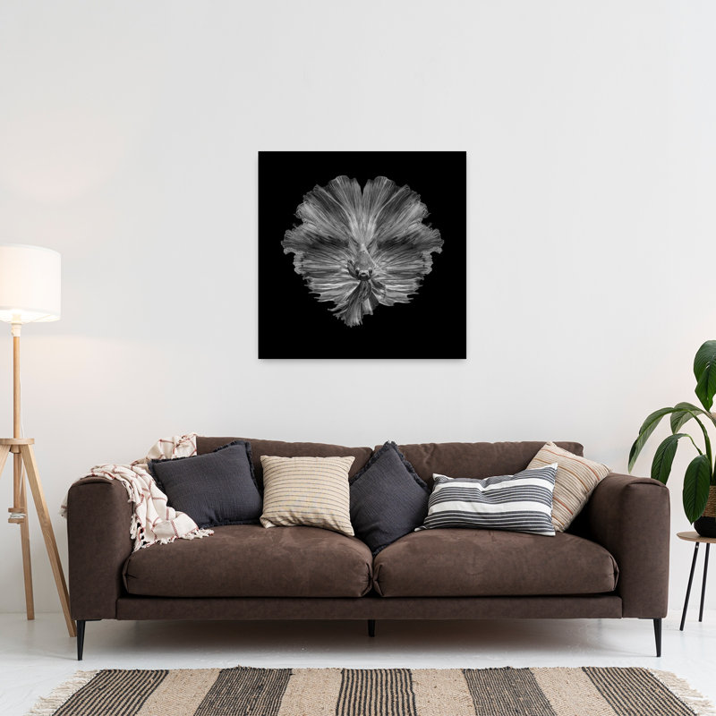 «Graceful Betta Portrait Abstract Dramatic Elegant Fish Nature Portrait», reproduction d'art, H 36 po x l 36 po