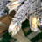 7.5' Pre-Lit Flocked 360 Degree Rotating Spruce Artificial Christmas Tree with 400 Lights