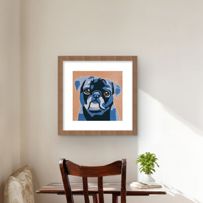 Flash the carlin - Animaux de compagnie contemporains