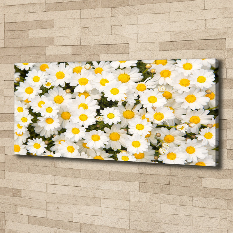 Daisies - No Frame Print on Canvas