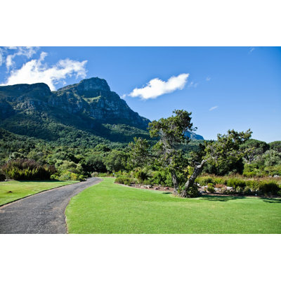 Kirstenbosch Botanical Garden by Edauksa - Wrapped Canvas Print