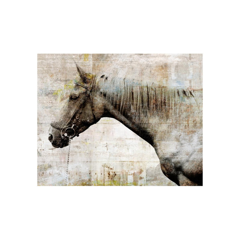 «Lonely Steed» par Sofia Fox - peinture sur toile, H 36 po x l 45 po x P 1,5 po, Extérieur