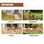 Menands 80 cm H x 160 cm W Fence Panels Fencing-1447566793