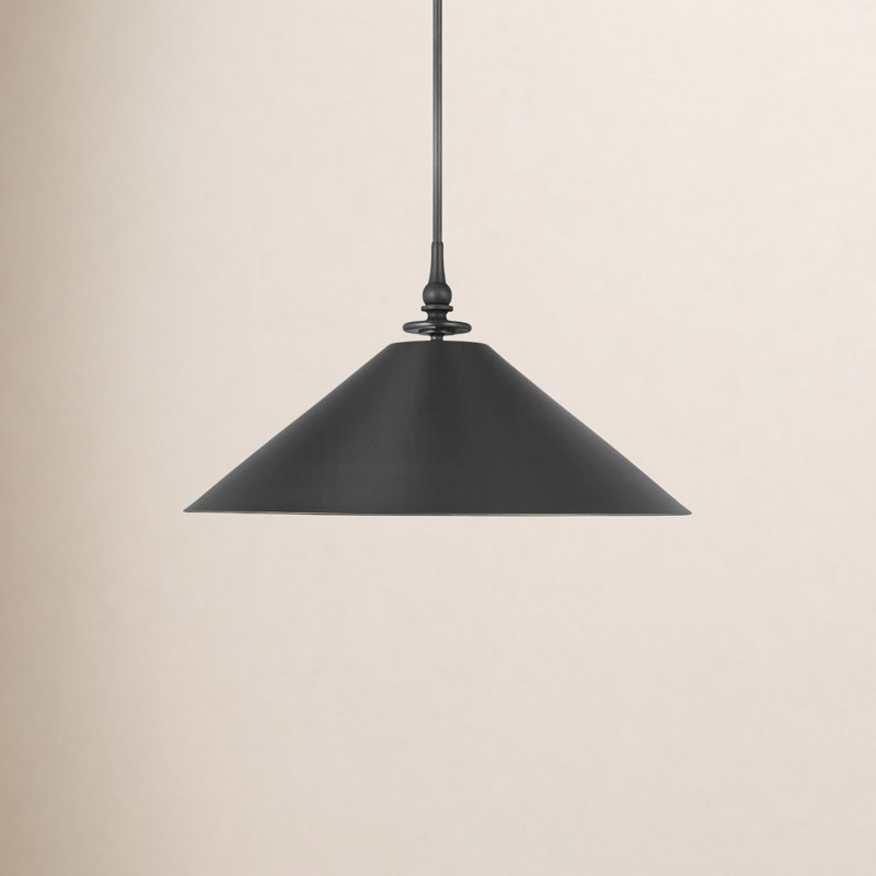 LeeRoy 1 - Light Single Pendant, Aged Iron