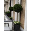 Berenice Handmade Pot Planter-14486351-48478046