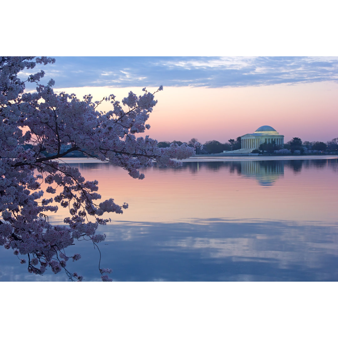 Cherry Trees in Blossom by Amedved - Wrapped Canvas Photograph