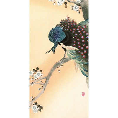 Peacock On A Cherry Blossom Tree by Ohara Koson - Wrapped Canvas Painting