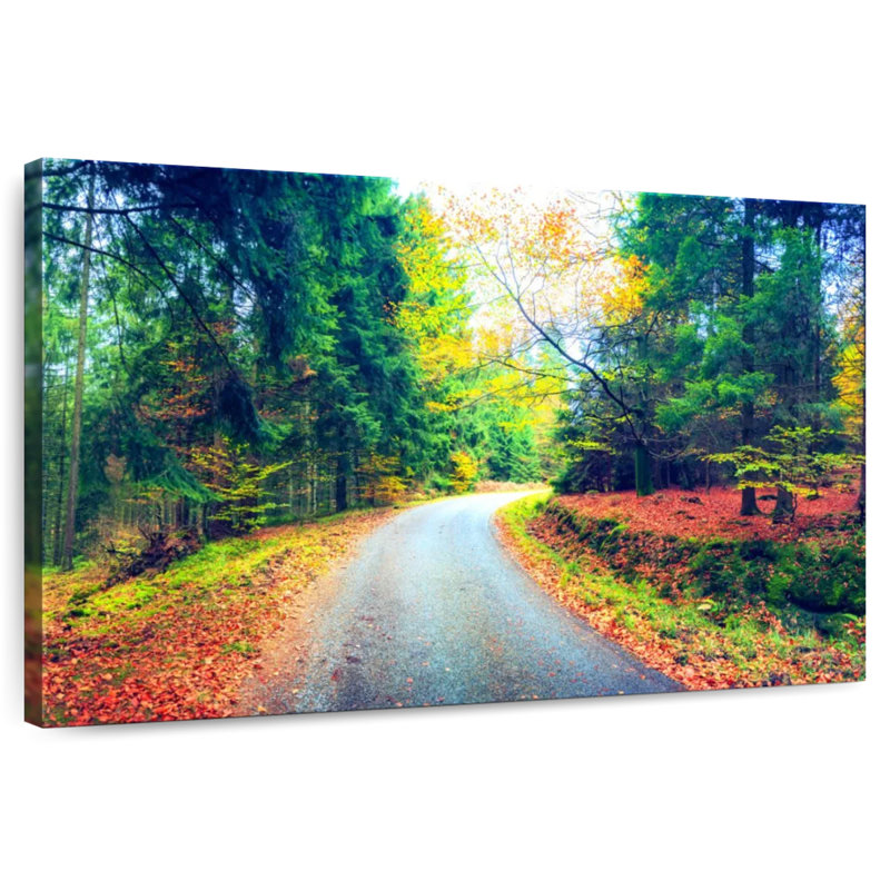 Alvord Belgian Forest Road