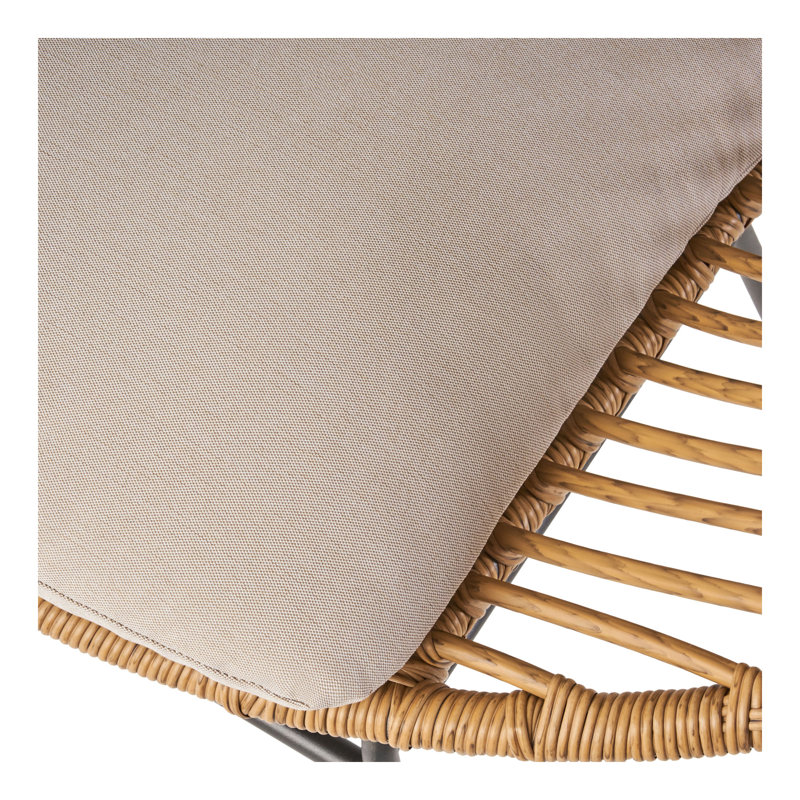Ensemble de 2 chaises d'extérieur tissées avec coussins Engle