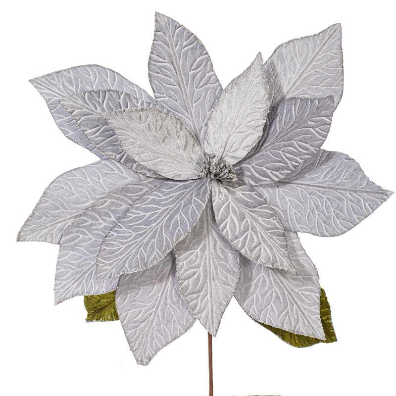 Tiges de poinsettia, Argent