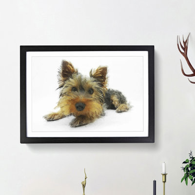 Yorkshire Terrier Dog - Picture Frame Graphic Art Print