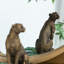 Statue de panthère en cuivre, décor animal