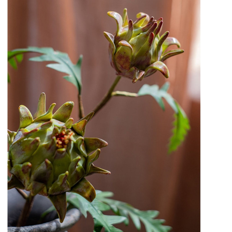 Tige de fleur d'artichaut dans un vase, 3 pièces