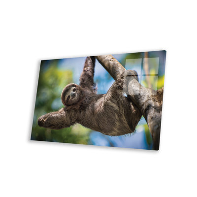 Hanging Out by Jonathan Ross Photography - Unframed Painting -  Latitude RunÂ®, ECFF4D0A97A64CC3A9209BEC5E26FFA8