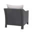 Ensemble de 2 chaises d'appoint pour l'extérieur Annie, argent, coussins, gris, fer