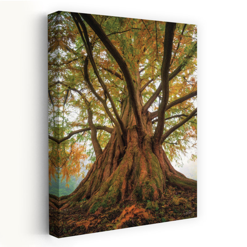 Print, 45.72cm H x 30.48cm W