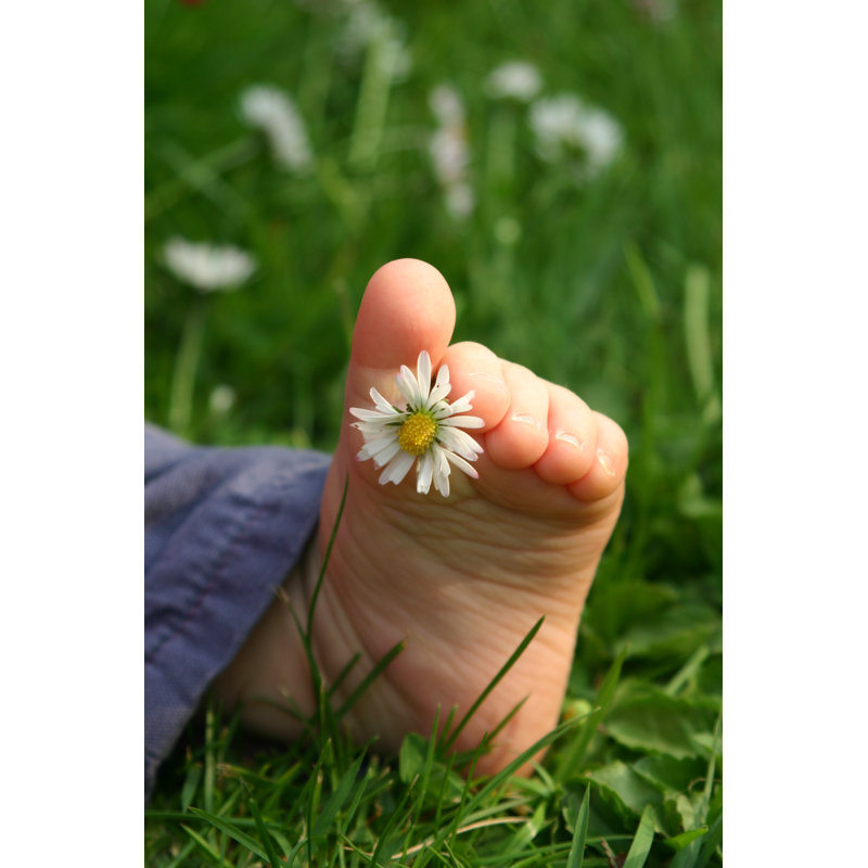 The Foot In Grass - Wrapped Canvas Print, 30cm H x 20cm W