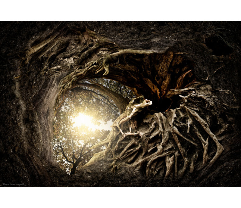 Wrapped Canvas Print, 121.92 cm H x 81.28 cm W