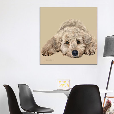 Labradoodle 1 Piece Wrapped Canvas Wall Art