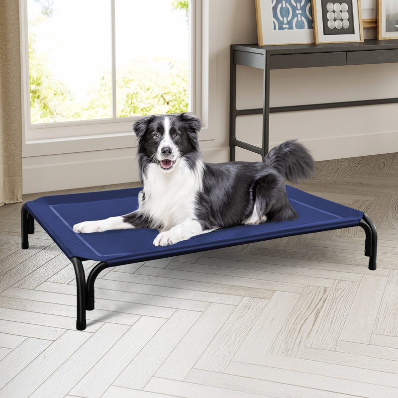 Lit pour chien surélevé intérieur / extérieur avec pieds antidérapants, TG, Bleu