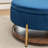 Charyn Upholstered Round Storage Ottoman-1465735373