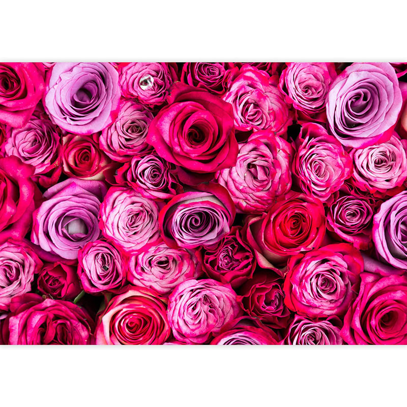 Floral Peel & Stick Floral Border, 66" L x 96" W