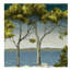 From Island II Print by Sara Brown-26728550-26728556