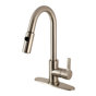 Brushed Nickel