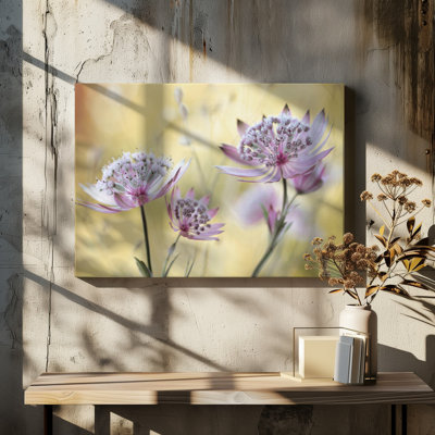 Wrapped Canvas Print