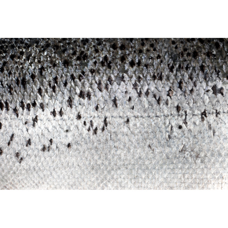 Raw Salmon Skin - Wrapped Canvas Print, 81cm H x 122cm W x 3.8cm D