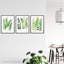 No Frame Print-1860413981
