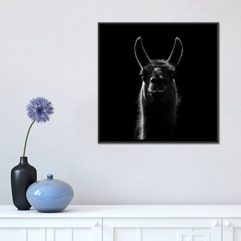 « llama », impression sur toile, H 18 po x l 18 po x P 1,5 po, Toile avec cadre noir, Pas de tapis