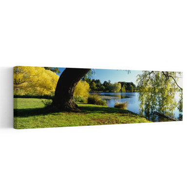 Willow Tree By A Lake, Green Lake, Seattle, Washington State, Usa Tranquil Abstract Contemporary Willow Autumn Nature Wall Art