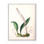 Vintage London Plants V - peinture sur toile-59814023-59814027