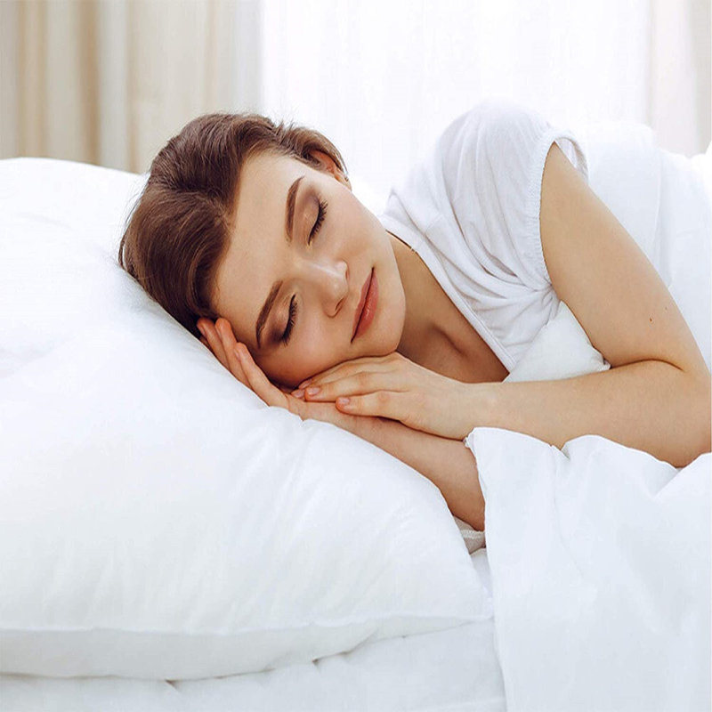 Aircomfort Bounce Back Hollowfiber Firm Support Pillow