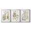 Sépia Botanical Journal IV - Impression encadrée sur mesure de qualité supérieure - 3 pièces-460923906-460923907