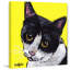 « cat tuxedo », reproduction de peinture à l’acrylique sur toile tendue-1462367928