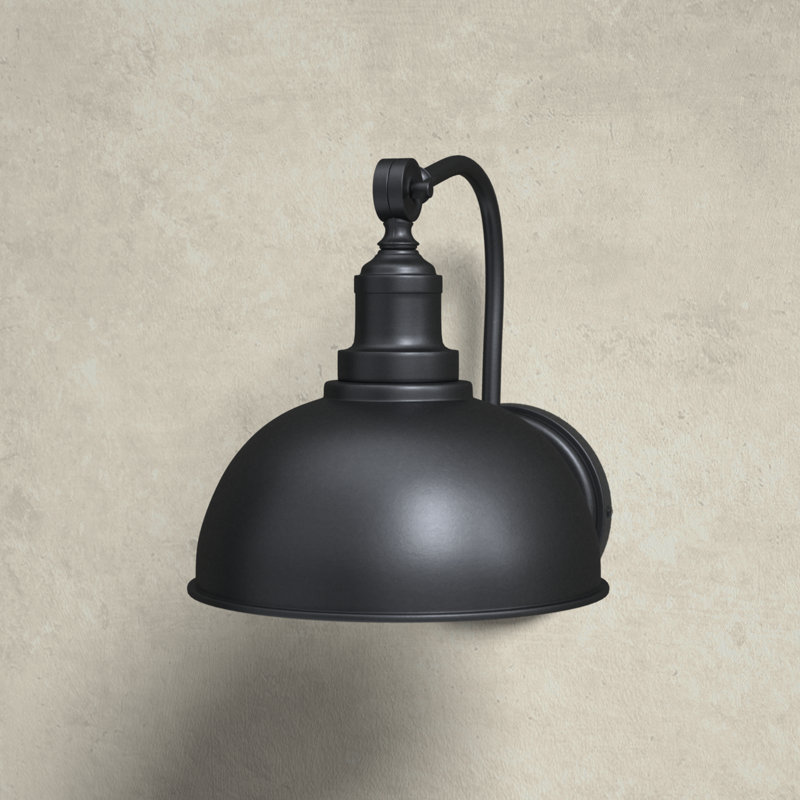 Petal Steel Armed Sconce