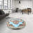 Oriental Indoor Rug-620338564
