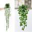 Plantes suspendues Laroya