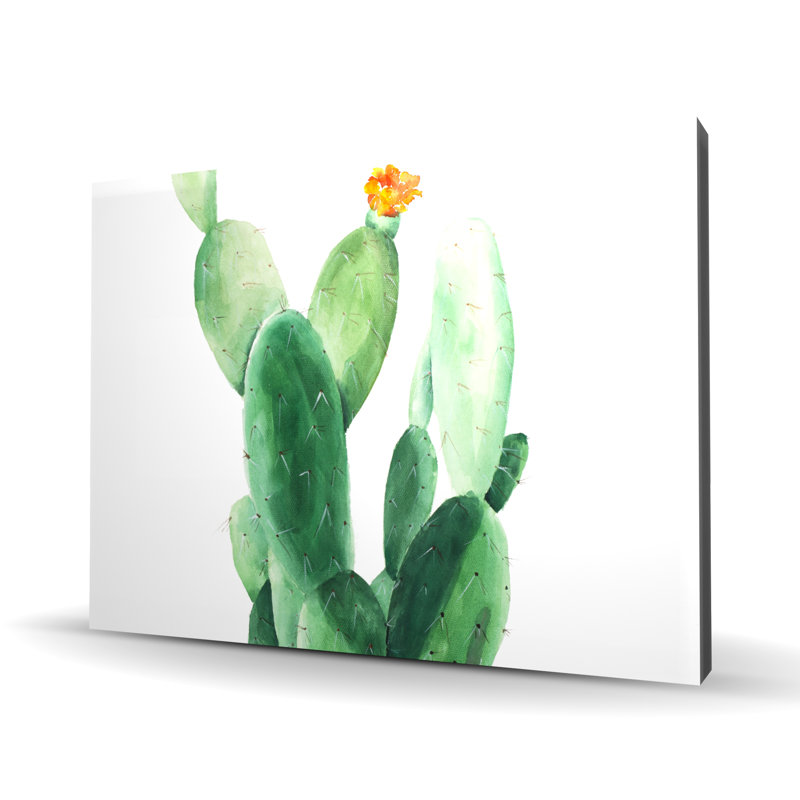 Aquarelle, pagaie, cactus avec fleur - décor de toile exotique