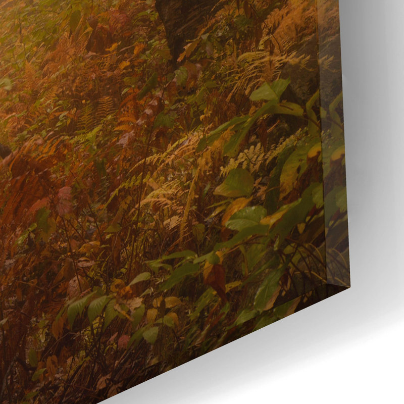 «Familiar Dream» par Patrick Zephyr, art mural en verre acrylique, H 12 po x l 16 po x P 0,13 po