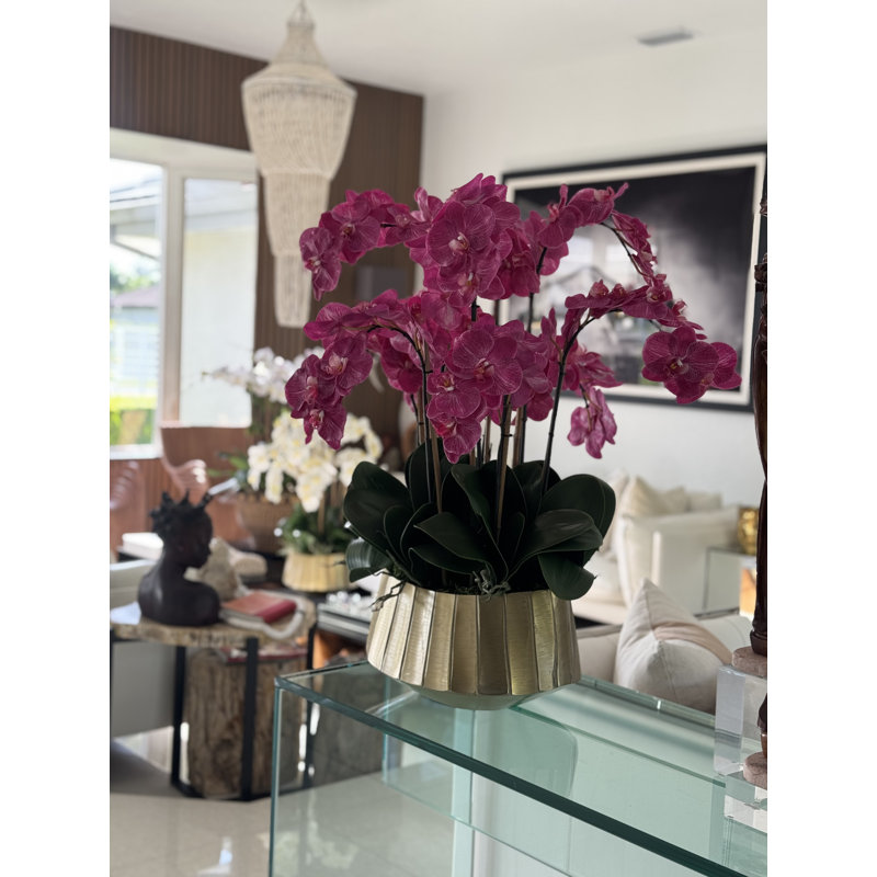 Helena Boat Planter With Phaleanopsis Orchids, Pink